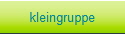kleingruppe